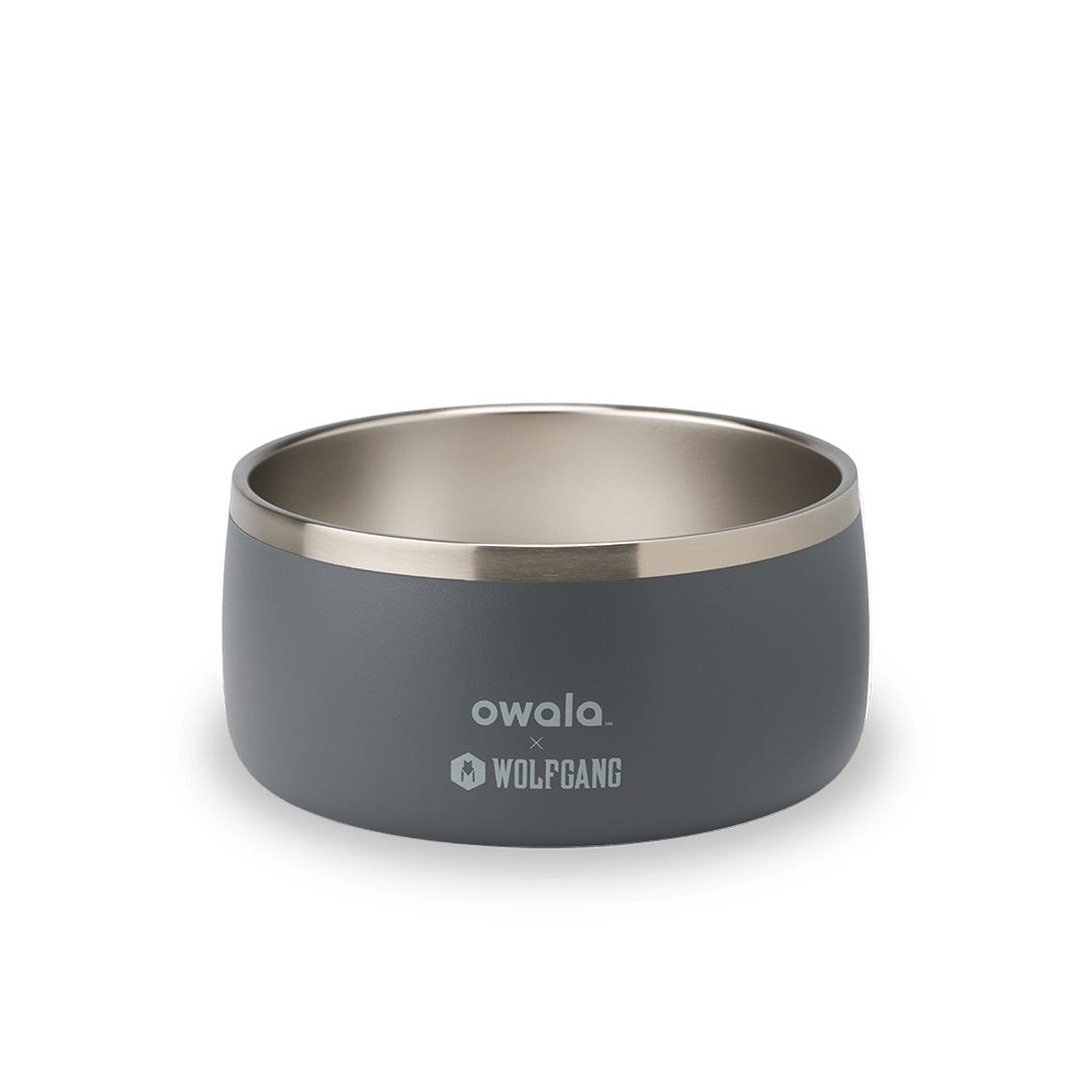 Pet Bowl JUVO3 RC8LFG 511OV9