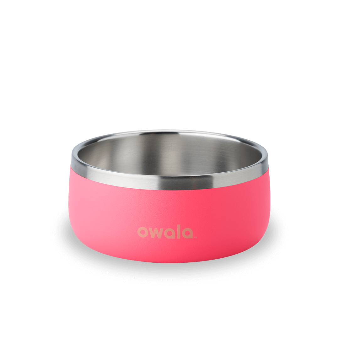 Pet Bowl JUVO3 RC8LFG 511OV9