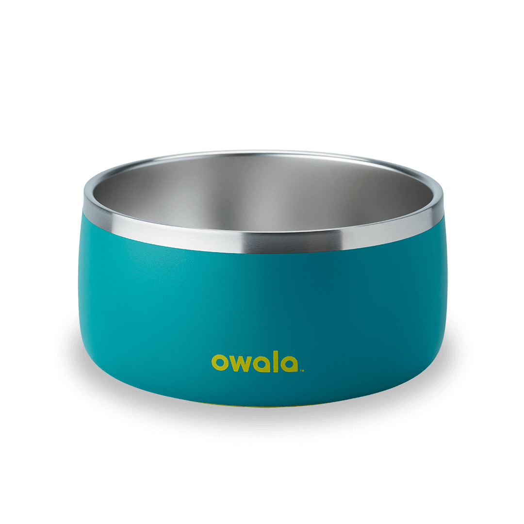 Pet Bowl JUVO3 RC8LFG 511OV9