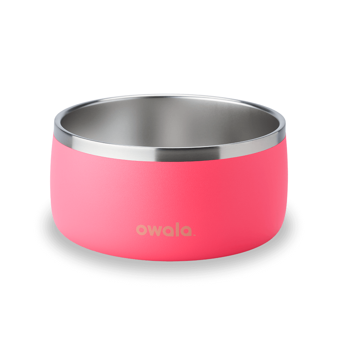 Pet Bowl JUVO3 RC8LFG 511OV9