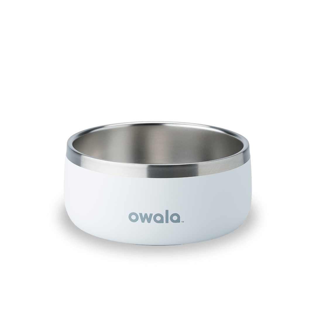 Pet Bowl JUVO3 RC8LFG 511OV9
