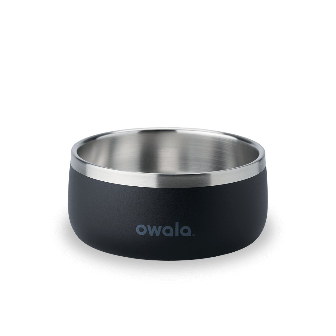 Pet Bowl JUVO3 RC8LFG 511OV9