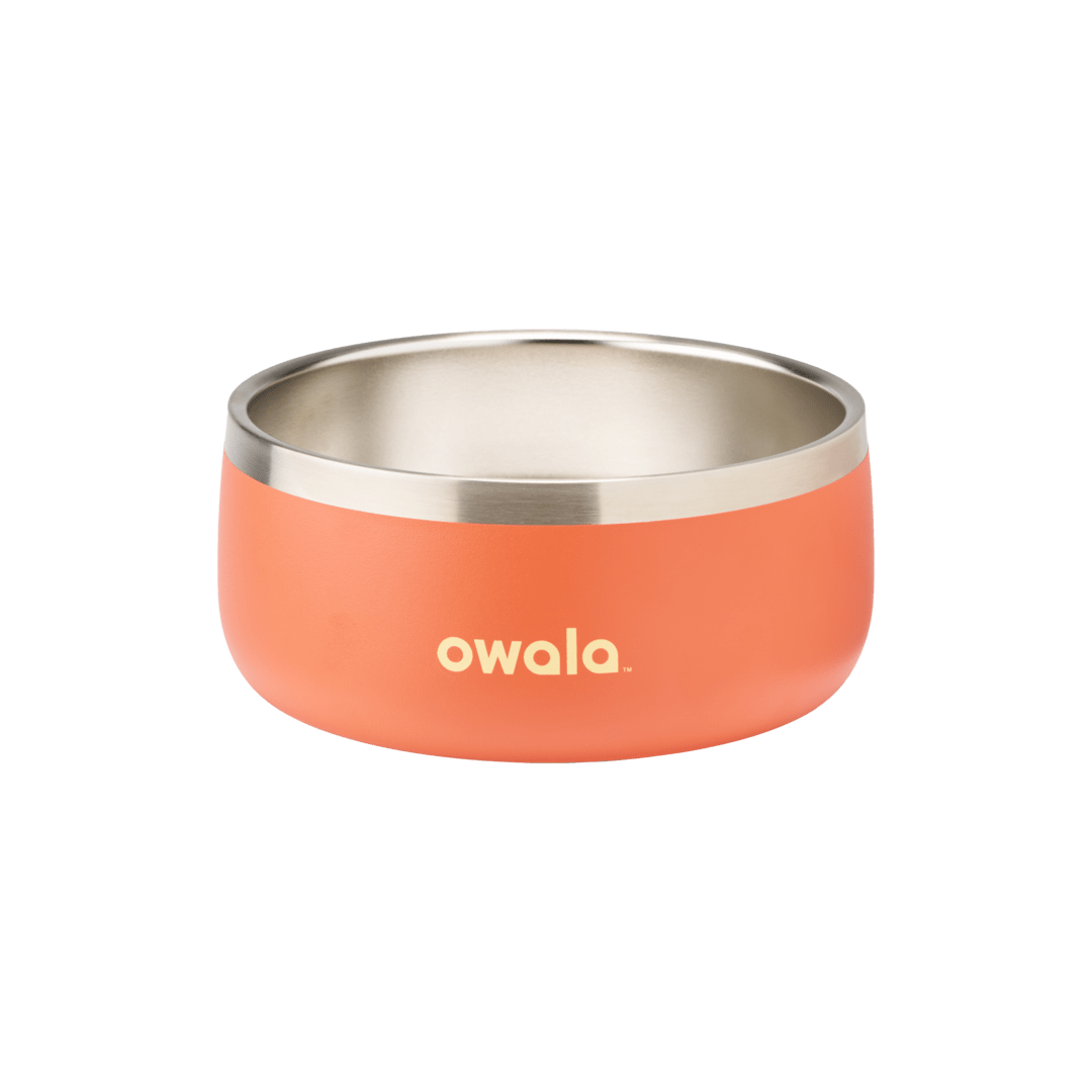 Pet Bowl JUVO3 RC8LFG 511OV9