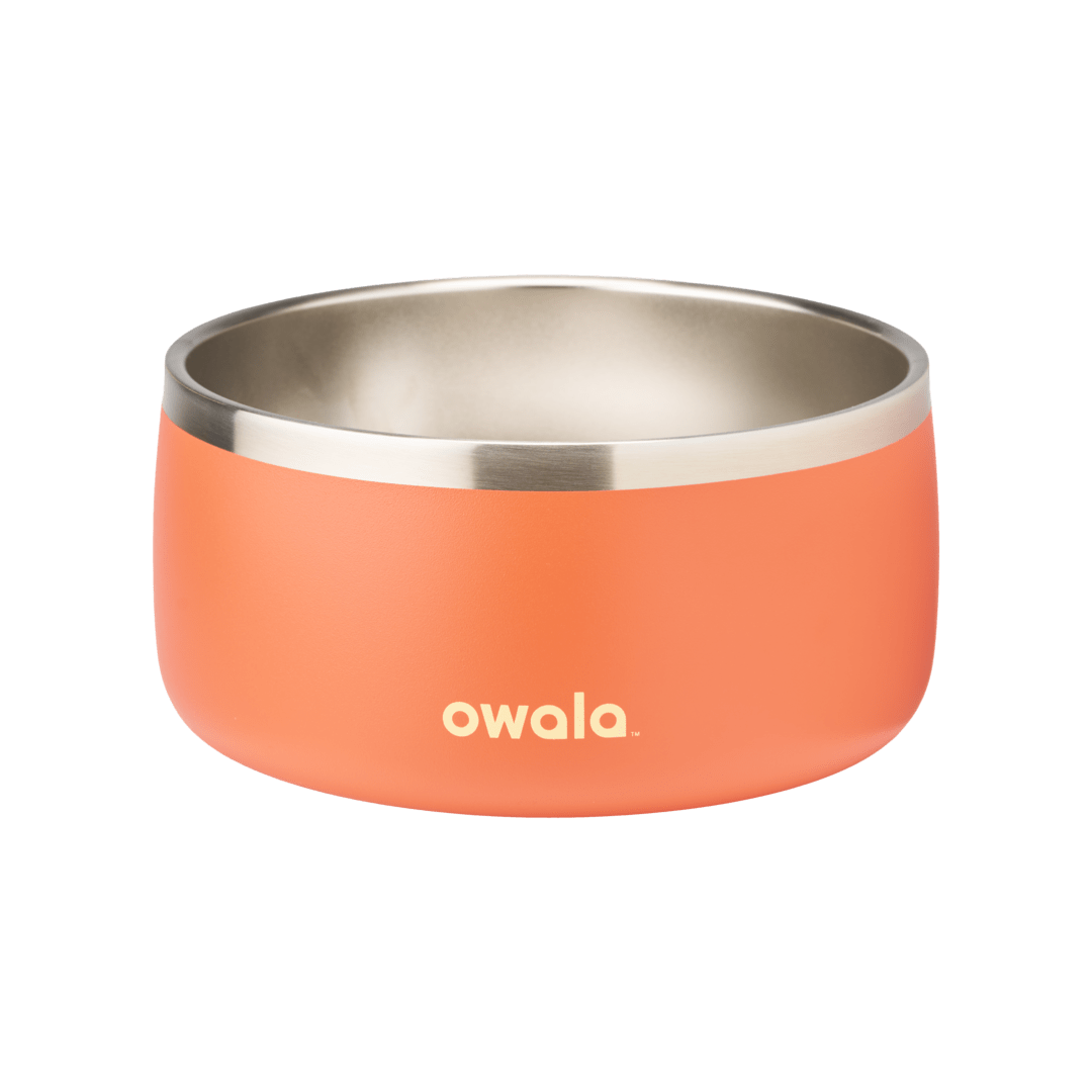 Pet Bowl JUVO3 RC8LFG 511OV9