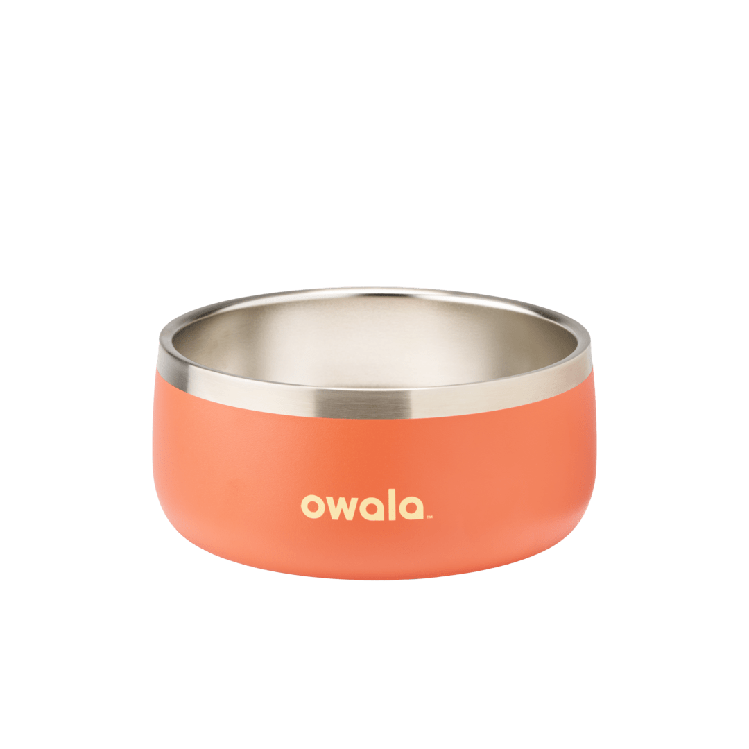 Pet Bowl JUVO3 RC8LFG 511OV9