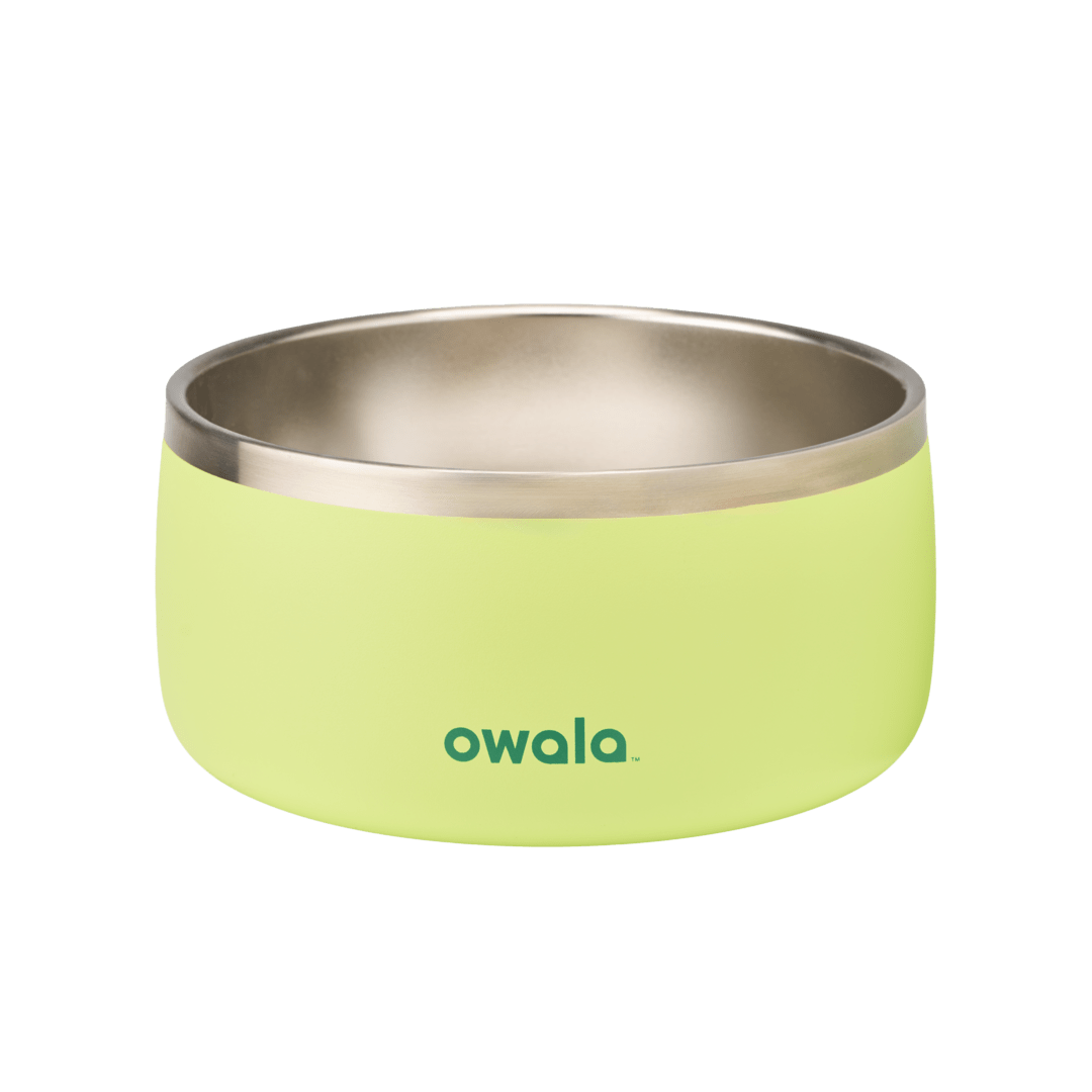 Pet Bowl JUVO3 RC8LFG 511OV9