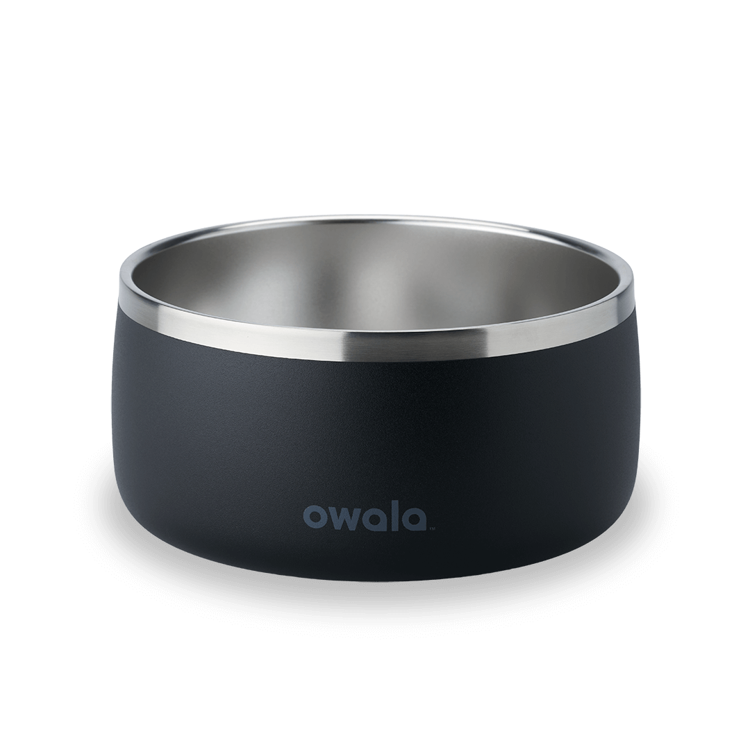Pet Bowl JUVO3 RC8LFG 511OV9