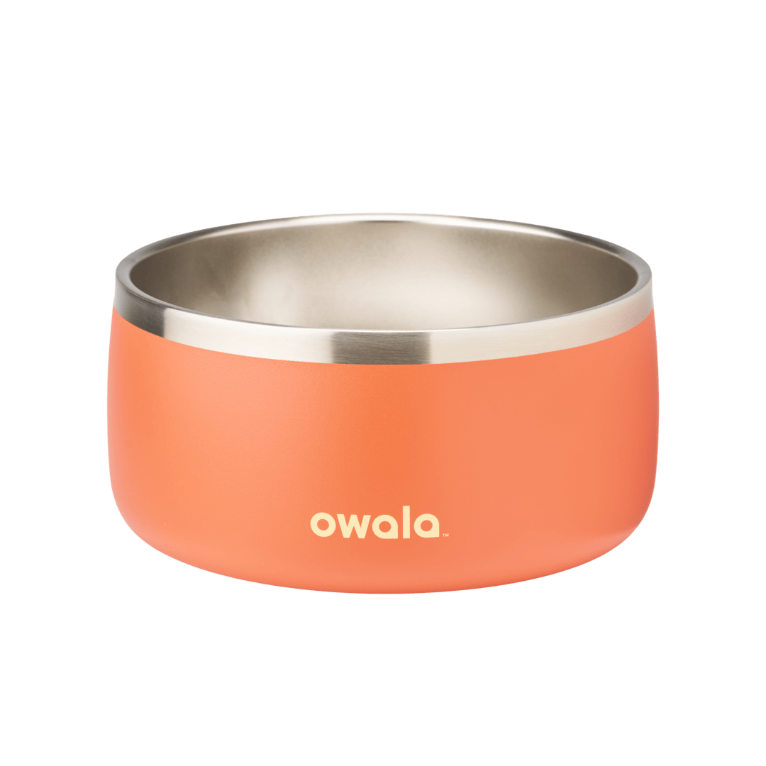 Pet Bowl JUVO3 RC8LFG 511OV9