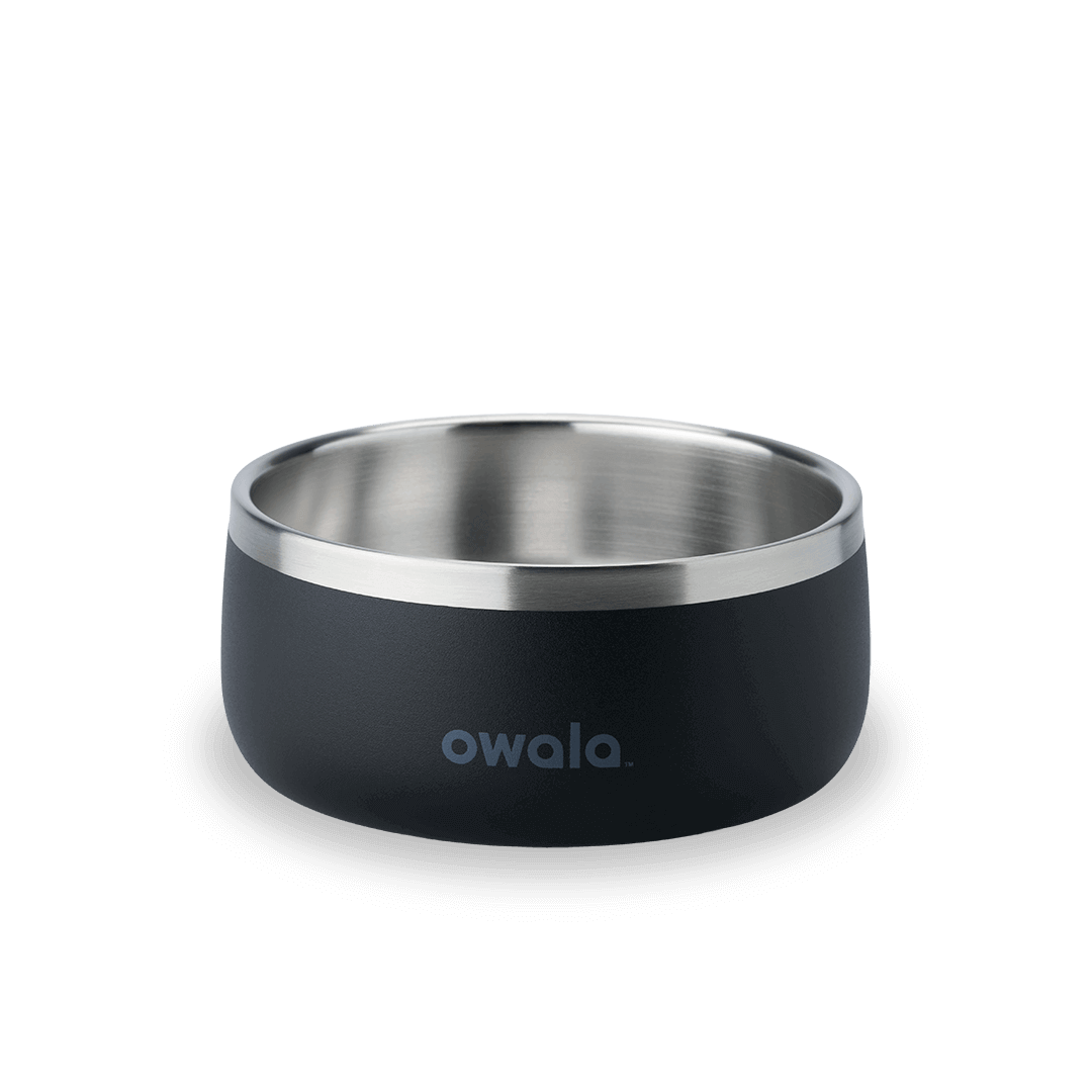 Pet Bowl JUVO3 RC8LFG 511OV9