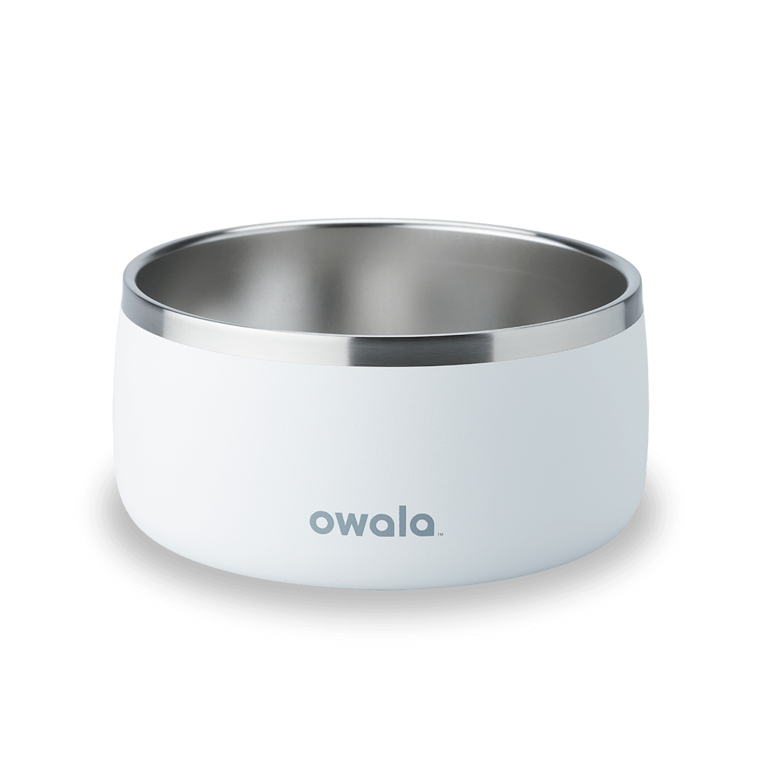 Pet Bowl JUVO3 RC8LFG 511OV9